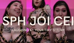 SPH JOI CEI:LAUGHING AT YOUR TINY SHRIMP by Devillish Goddess Ileana