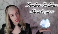Leather Goddess Shrinks you