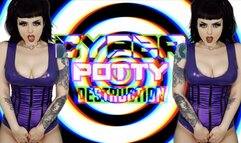 Cyber Potty Destruction