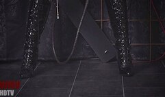 Shiny Catsuit And A long Bullwhip (HDTVWMV) – Lady Amira