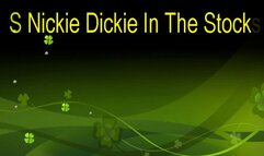 TS Nickie Dickie In The Stocks (Small)