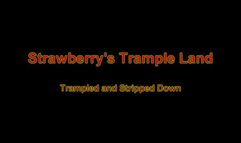 Trampled And Stripped Down