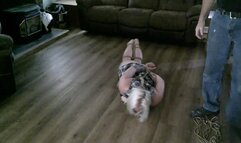 Vivica Struggling like Crazy in Rope Bondage Takedown HDmp4