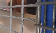 ASMR GROCERY SHOPPING AT BIG BOX STORE