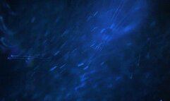 Toilet Slave Treat *mp4*