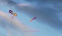 The Coaches Cure 7 HD