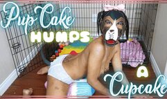 PupCake Humps A Cupcake - PETPLAY PULLUP PILLOW HUMPING IN 1080
