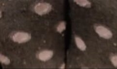 POV Socks In Your Face!