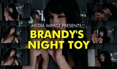 Brandys Night Toy