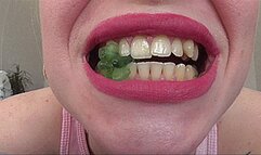 BITING IS FAST!AVIBIT