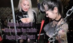 Pegging the Gimp with Mistress Ava Von Medisin - Part 1 720p