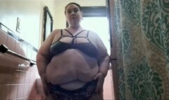 Too Fat for My Bathroom