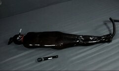 Black cocoon games with breath and vibrator