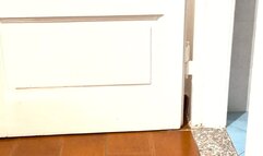 Dasha is cleaning dirty floor on her hands and on her keens she is wearing a pair of black stiletto sandals, a sexy mini dress and a thong