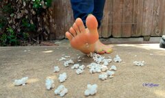 Popcorn Trample