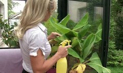 COUGAR ANAL FOR SON'S FRIEND