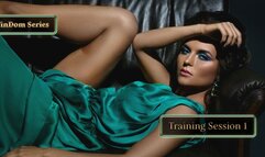 FinDom Training Session 1