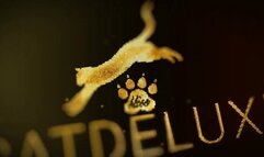 Schluck Aschenbecher 6