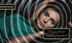 FinDom Training Session 2 60 min LOOP Programming