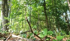 Tiny Human Casey in the Land of Giants POV1080 smaller