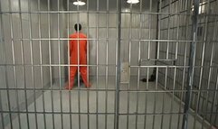 Wild Bill and Cole Conners