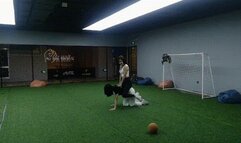 LUNA181_GAME OF PIGGYBACK RIDE AND PONYPLAY IN FOOTBALL Sports hall