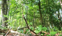 Tiny Human Casey in the Land of Giants POV 4k