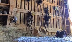 She toekicks my balls to KO angle 2