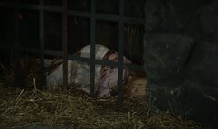 Blonde wench is stripped naked and pulled up to the ceiling for interrogation