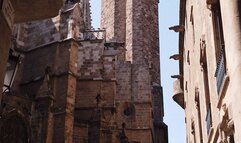 A peasant makes his queen pregnant