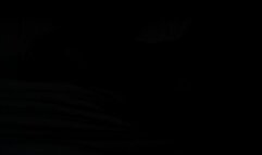 Malibu's Full Scene with OLB