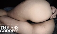 THE ASS GODDESS: Chapter 2 - Findom Ass Worship (WMV)