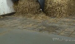 Stable Butt Plug Vibe - 1080