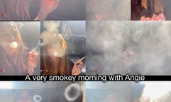 Three scenes in a very smokey morning with Angie!
