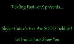 Skylar Calico's Feet are SOOOO Ticklish