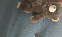 Sandra is trampling and crushing 2 Big bears barefoot
