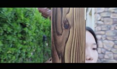 YT2032 Acceptance of Self_Made Gallows