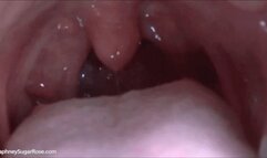 * 854x480p * Chewing & Digesting Food Vore Tease ,Pt 3 - Mp4