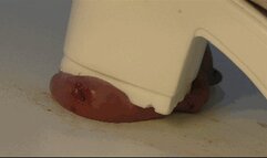 Destruction my cock HARD (part 2)