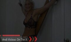 Andi Vicious On the X (Small)