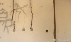 Villa Yellow Net Wet Pussy