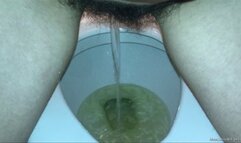 Third Desperate Bushy Pees at My Favorite Laundromat HD