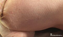 Zinaida "Prone Tigress" 1920x1080