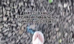 Giantess Lola walks Crushing anything in the path what did I just step on? Towering over you stomping and walking crushing random objects pov avi