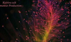 Brave but obedient teen sucks and fucks stranger on couch