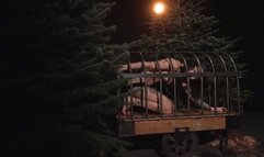 Skinny girl want to get out of the cage - wmv 1080p