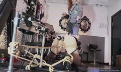 Encouraging Bisex Pt1 Fucking machine preparing you for my Bull - Real Time Session Recording