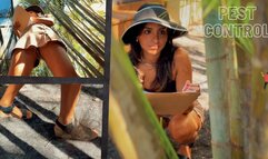 Pest Control II - Giantess Enola SFX