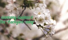 Gardening Goddess V- “The Backyard-ening”
