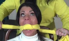 Roxxy Corporate Espionage WMV